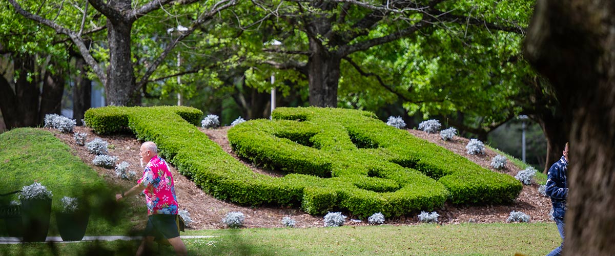 Beautiful USA Campus