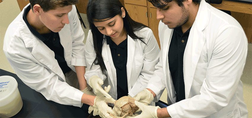 Image of biomedical students working in a lab.