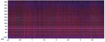 Broadband pulses generally used for echolocation