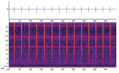 A zoomed in version of the first 0.5 seconds of the click train, showing the waveform and spectrogram.