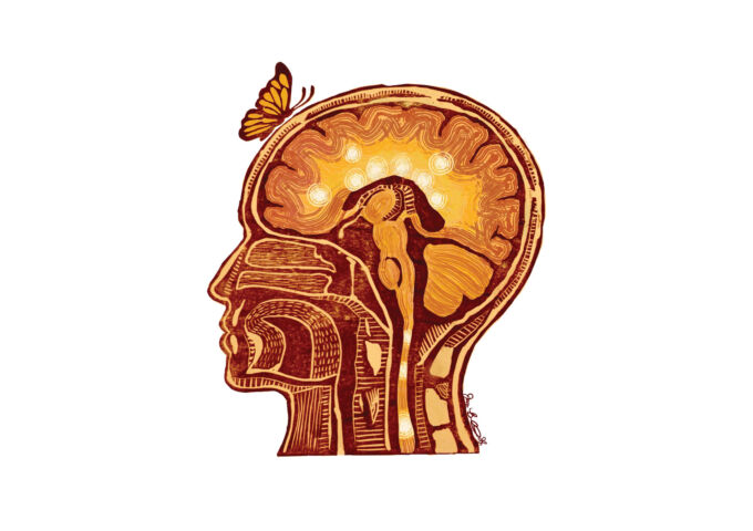 Brain graphic