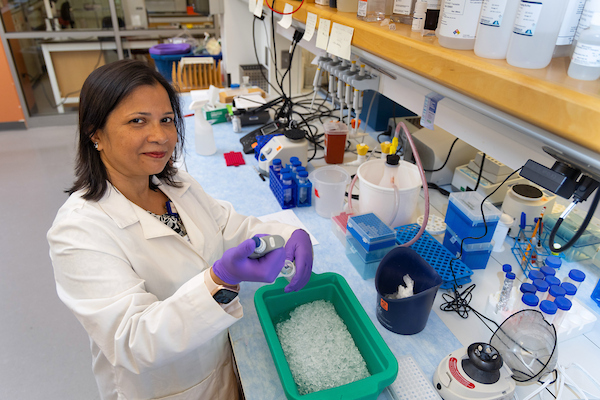 Dr. Chandrani Sarkar