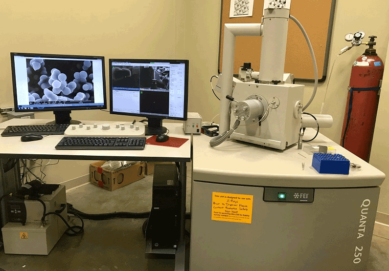 Scanning Electron Microscope