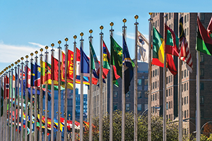 International Flags