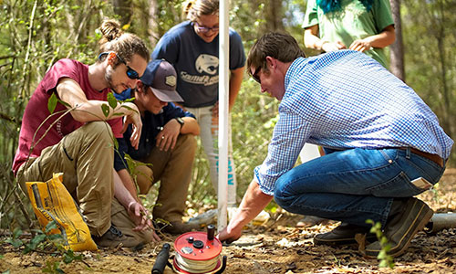 Students and professor working in the field for geology