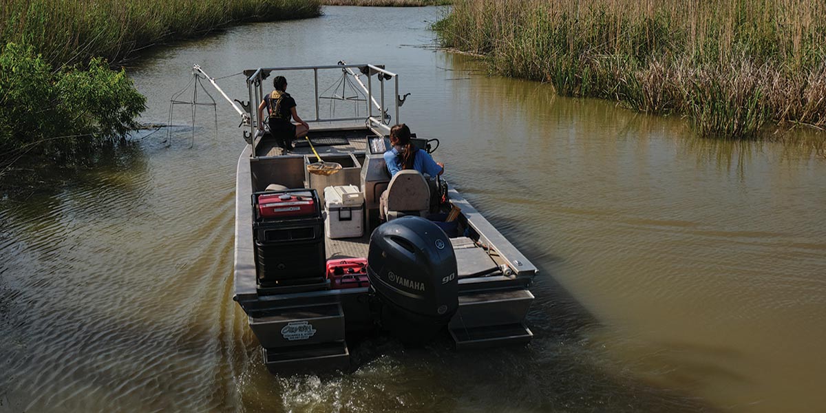 Sierra Robertson pilots an electrofishing boat near Justin’s Bay with fellow Ph.D. student Aleah Dokter, who is researching fish populations along the Causeway. data-lightbox='featured'