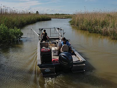 SIERRA ROBERTSON pilots an electrofishing boat near Justin’s Bay with fellow Ph.D. student Aleah Dokter, who is researching fish populations along the Causeway.