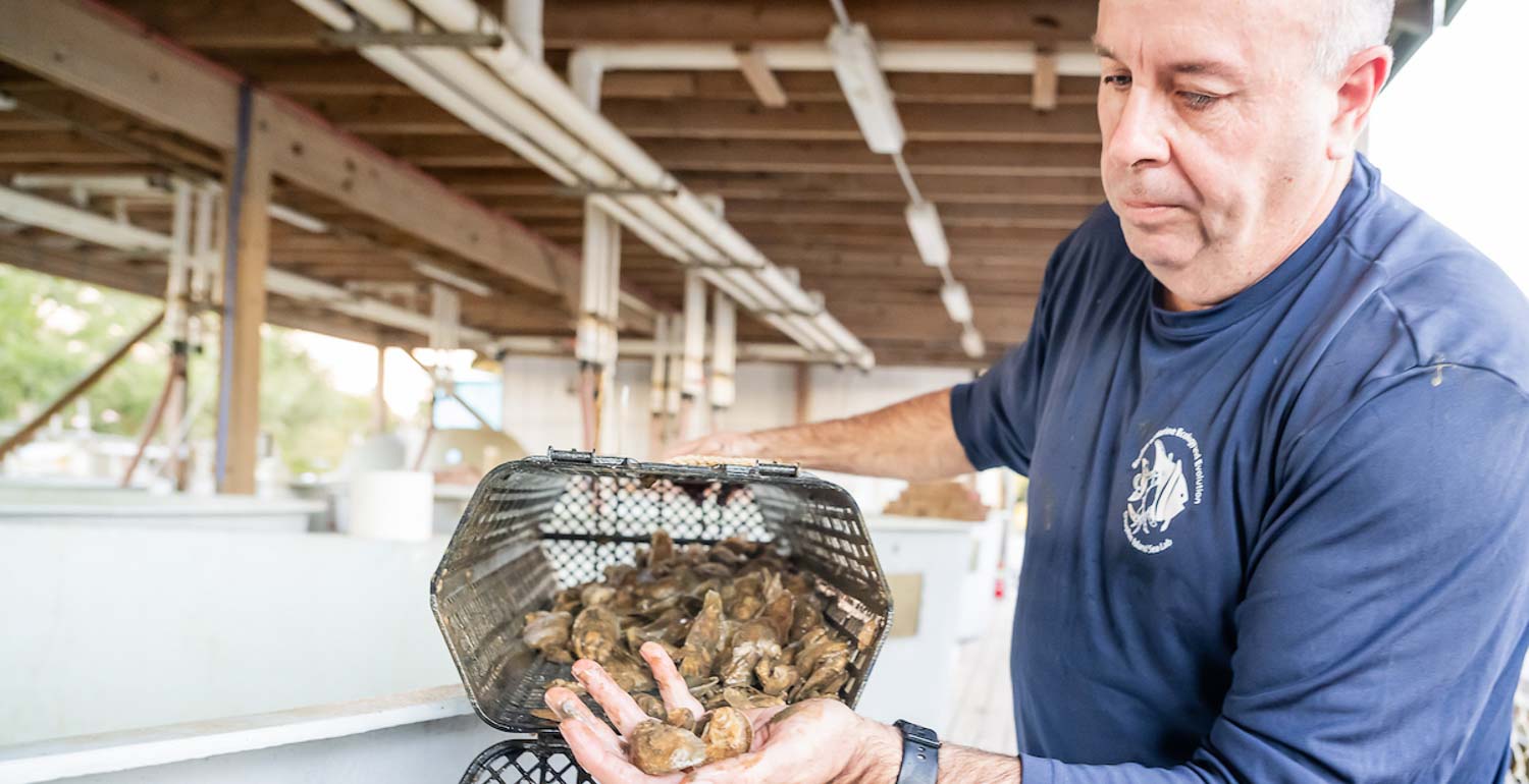 Dr. Lee Smee works with a simulated ecosystem tank for oyster experiments