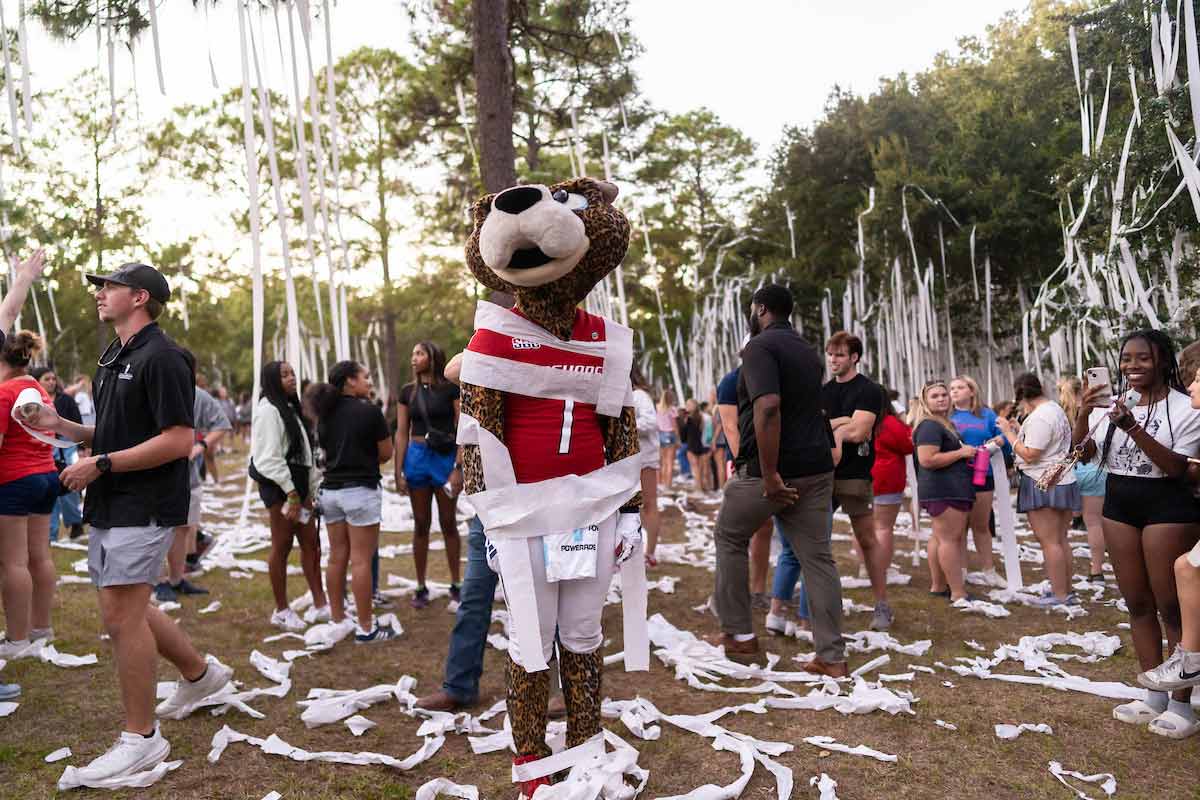 Southpaw at Junk the Jungle Southpaw at Junk the Jungle